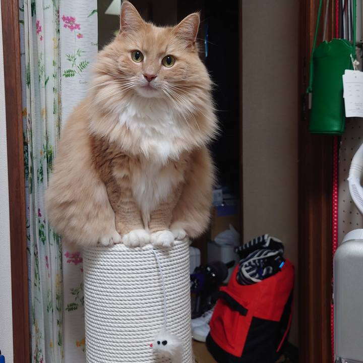 2a509b13 1488 4e20 8034 06b8b0ee682a 1647570361951