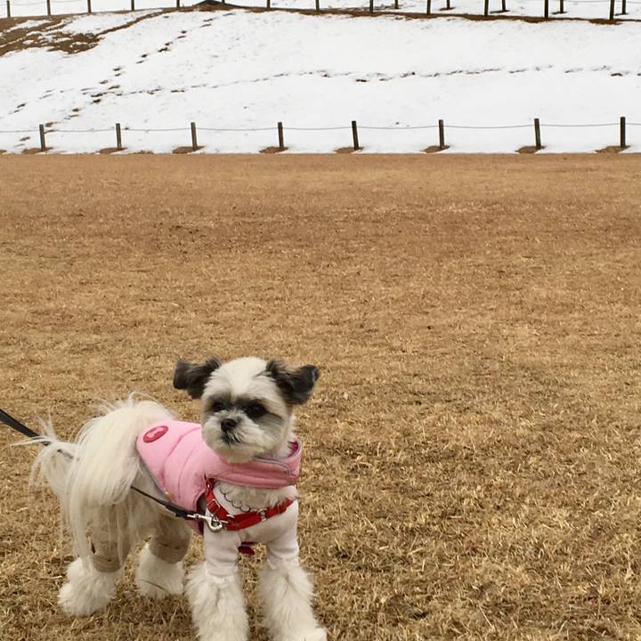 2a50ef67 fdd8 4367 ab90 d583bf678a77 1517120364480