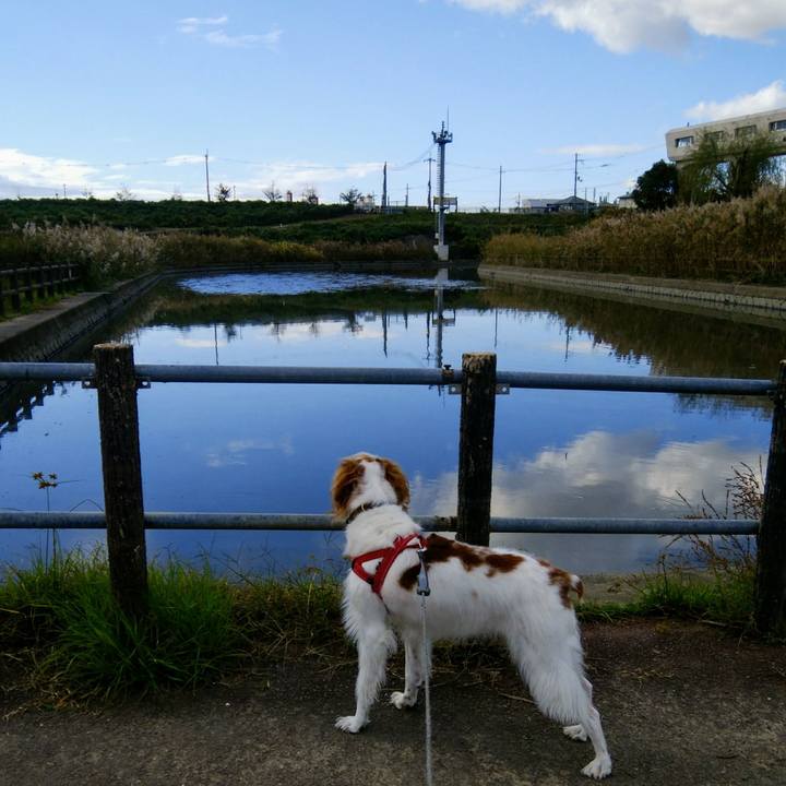 2a50fdac a8c2 4270 bfea 1ccf18dc0f8e 1542282528586