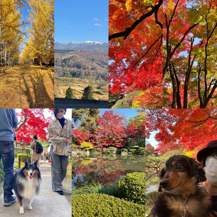 2a510575 421f 4dc2 978b 823bde05f9d0 1668248468196