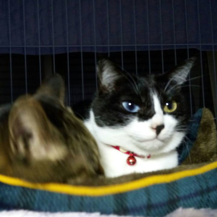 2a512572 1a75 42d6 8df5 4bf8508f0e7f 1513073097993