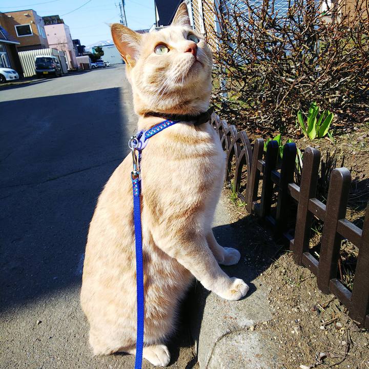 2a514e51 3751 4d0a ba2f c957549728d3 1618102115098