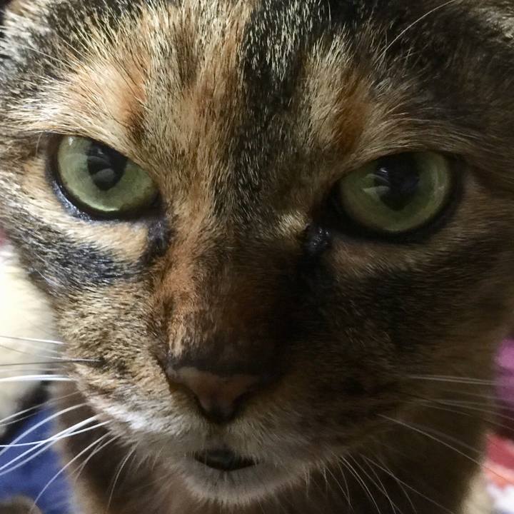 2a516847 dca7 4173 b076 33d665bedd7c 1554727312600