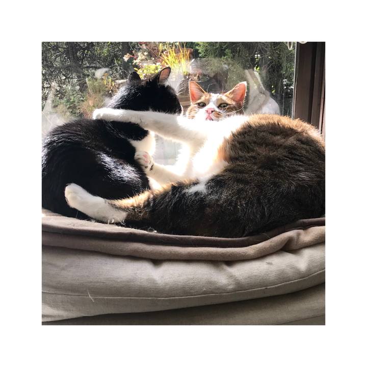 2a5177dd c065 47d5 8645 faba7dd524ab 1653558233750