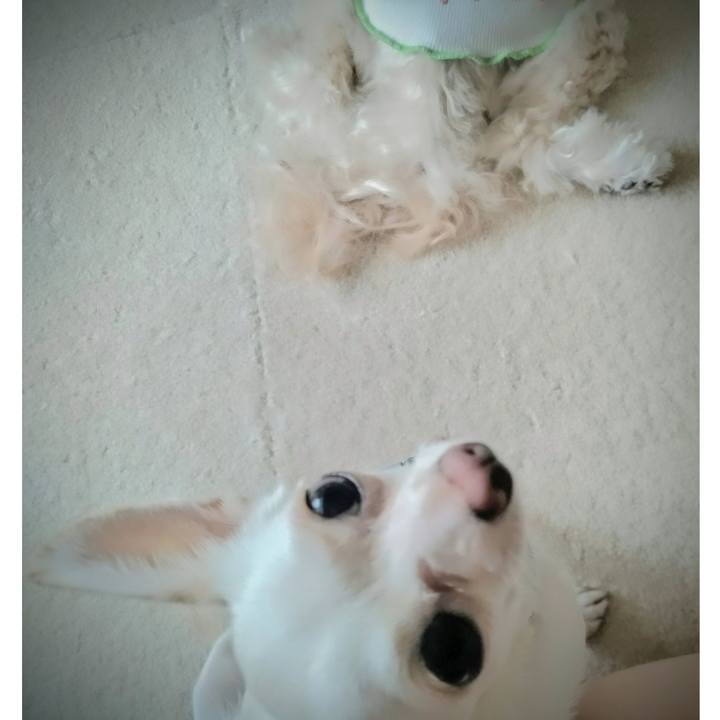 2a51b8e7 9160 4bb3 931f 616d8ffde801 1726273758579