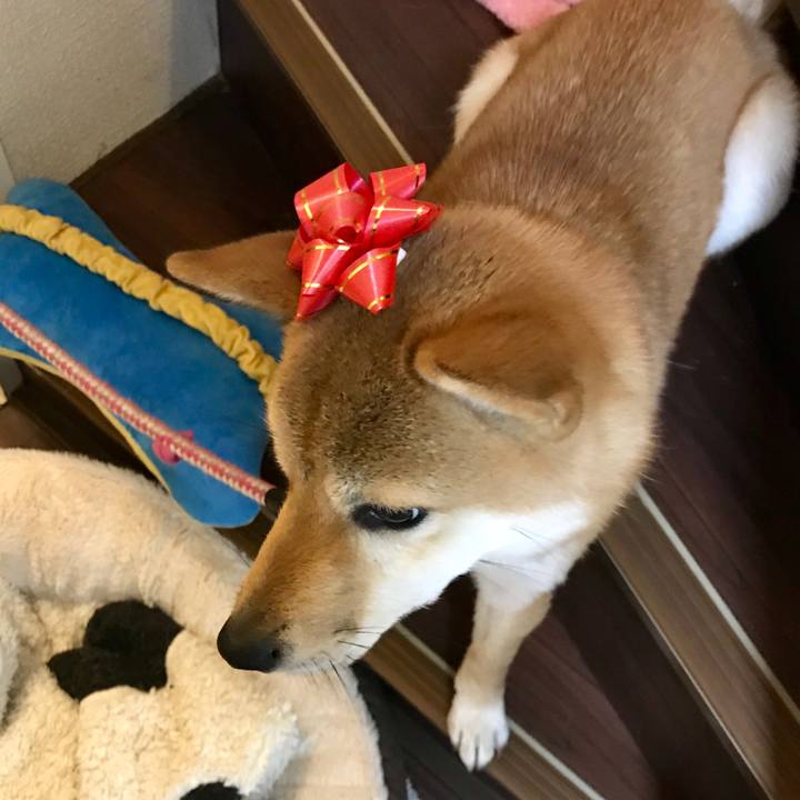 2a51c29e c6e8 4b38 8725 efa0e6a3afa1 1514472588974