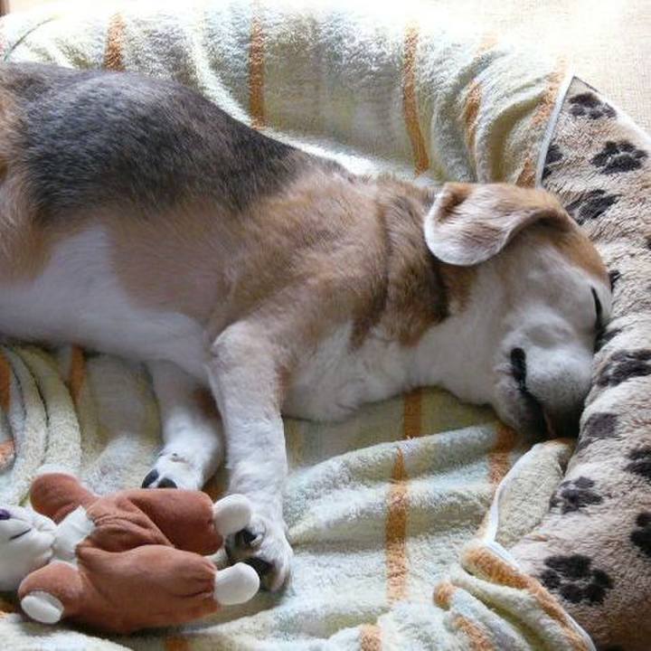 2a51cac8 dea1 43d5 a189 81f2e880b08c 1680656026273