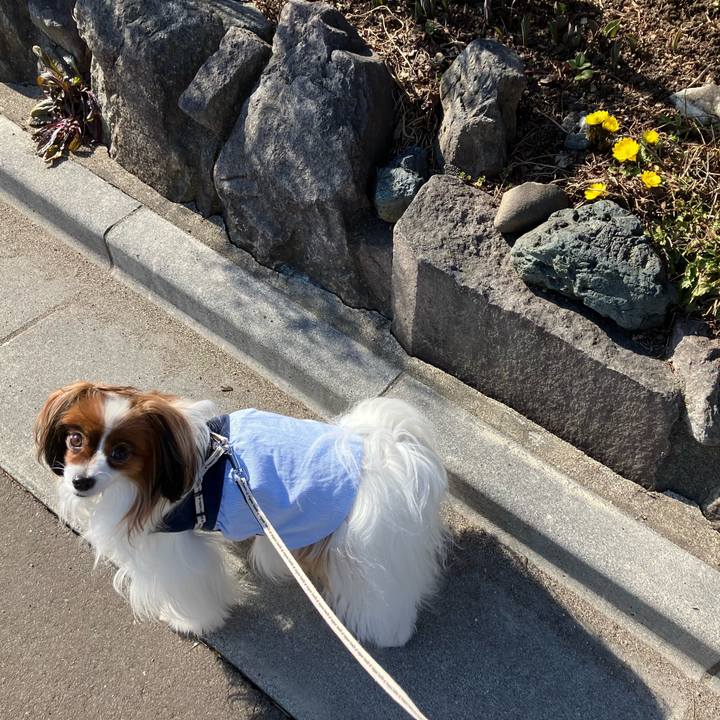 2a520c2c a9b7 4b7e b3fa ce6036328d39 1741585045996