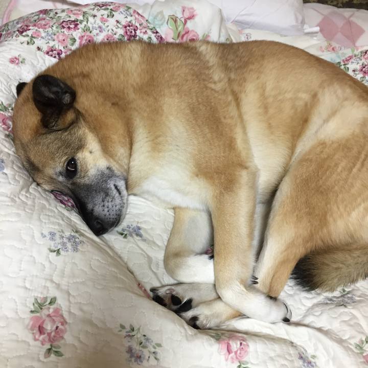 2a524ce0 0c26 4e81 b068 650cabd360ce 1521285401726