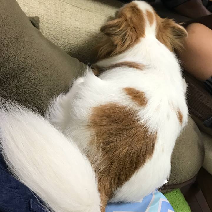 2a52abbb e46b 4edd 8e79 c386b225d210 1569754124554