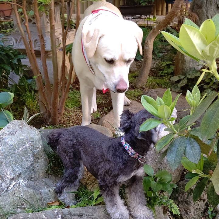 2a52b31f 10f1 4a29 877a 254be86e0d09 1618830836203