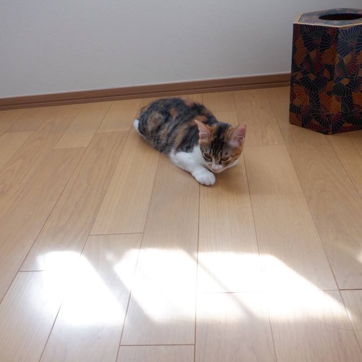 2a52d277 d41e 47f5 bf35 47e95186b87c 1632279175461