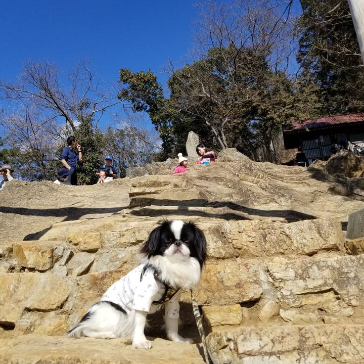 2a52d2ef b8cb 4a7d ae4d 0ffe87ff39a9 1646558970152