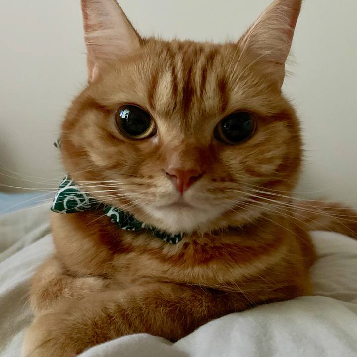 2a52e9e5 e3e2 43d6 89a9 a2767b8c0b9c 1571013878295