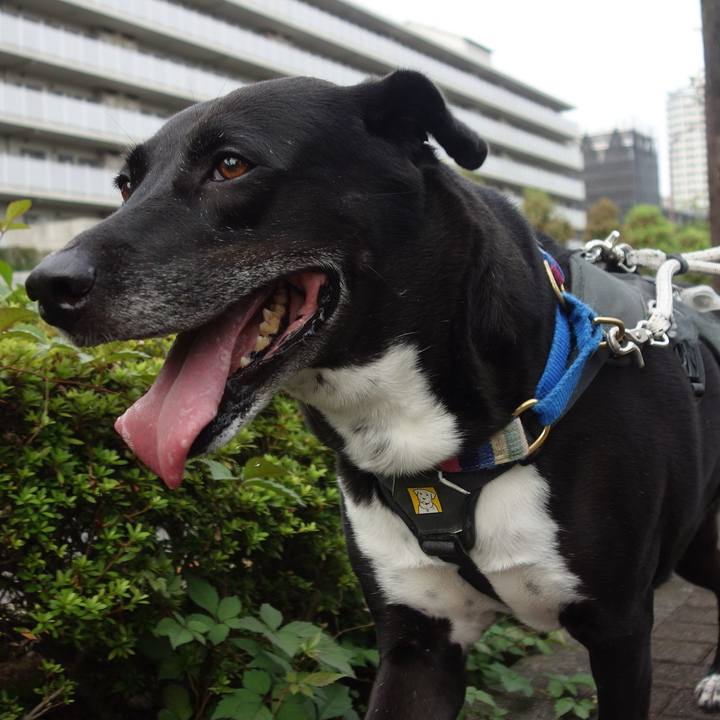 2a530d01 a4a2 4d97 8417 ae04d9c7d20a 1663030276617