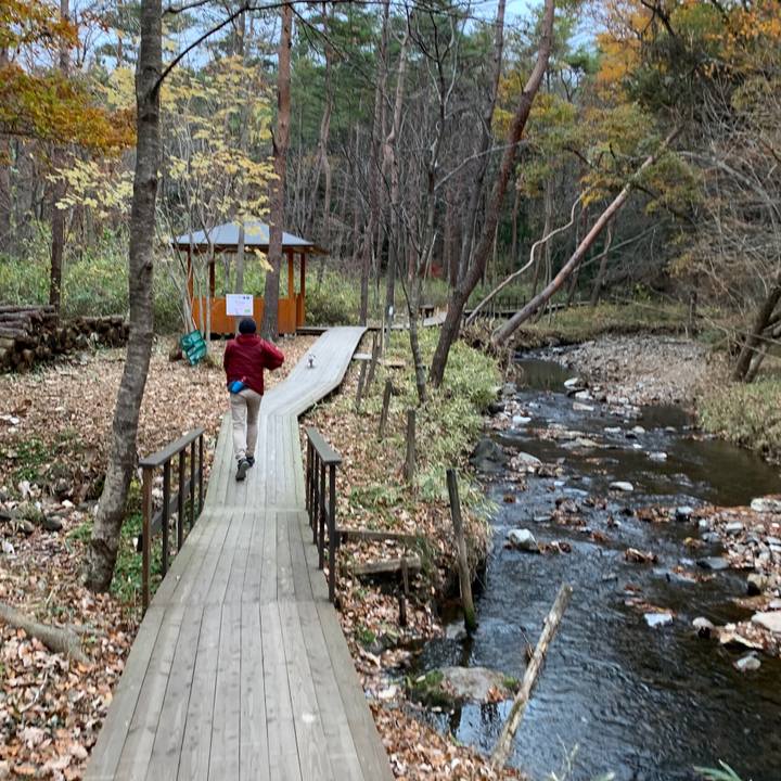 2a5316b6 a8d6 488d b8d0 f7a3307265b1 1574411976129