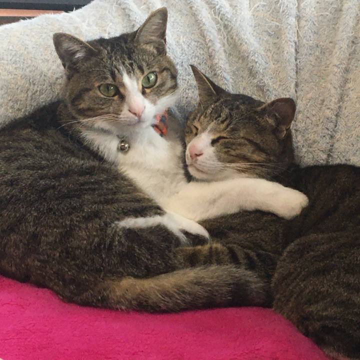 2a531c60 a09c 4186 b366 1c7afa599337 1669130624221