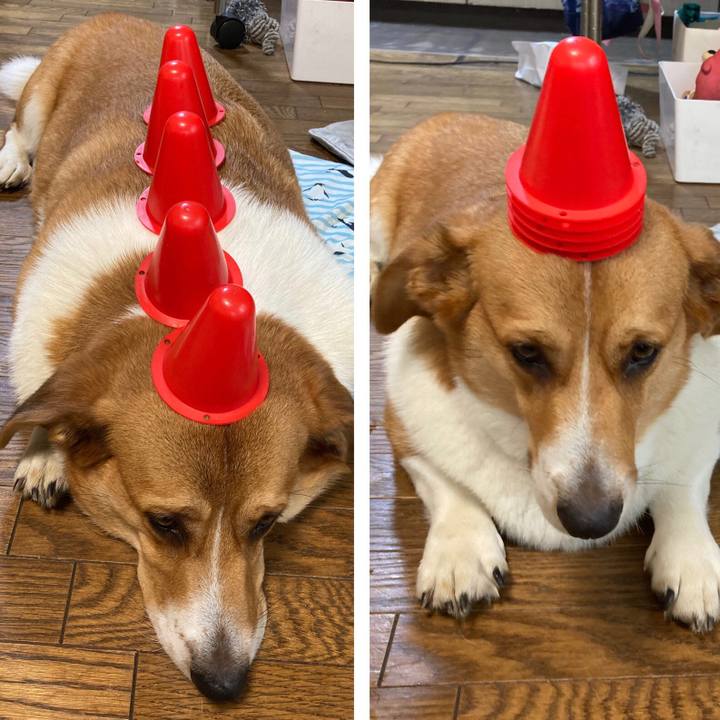 2a53260e 51a4 45c0 bd14 67cc13d11899 1657756861239