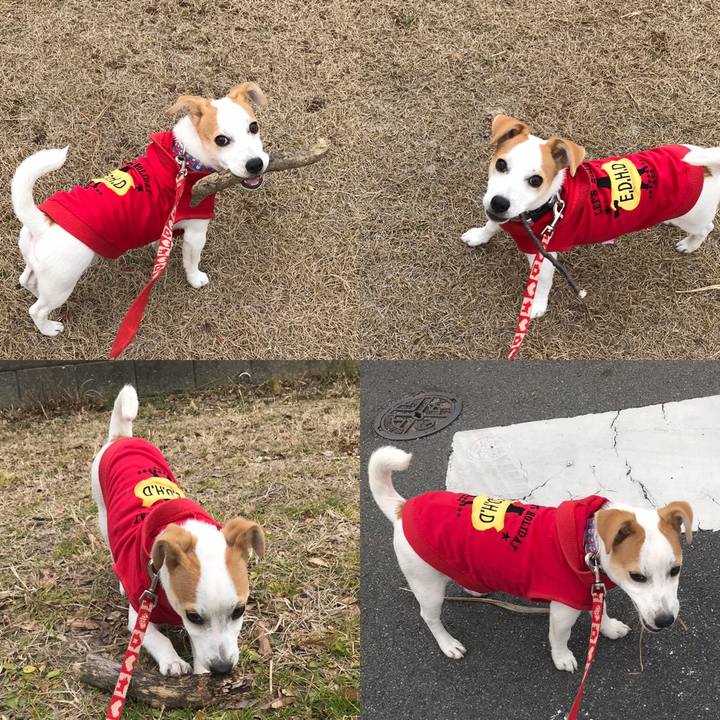 2a53896a 53a5 4521 bb83 af998212c7e1 1548647290360