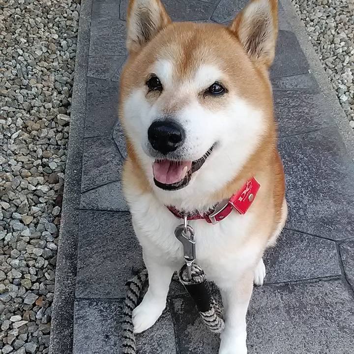 2a53a2ac 12bb 4b46 a2bb 19d6f71833df 1707733333123