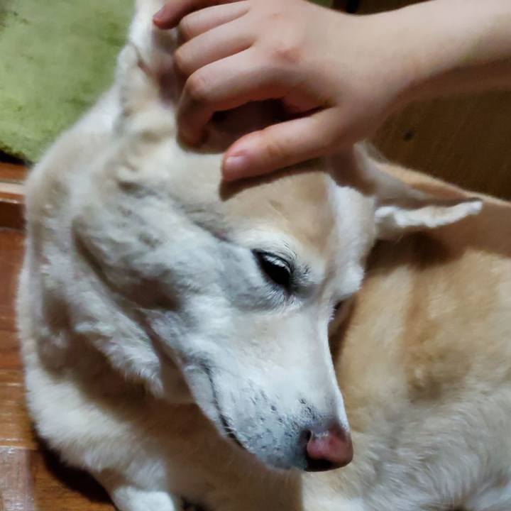 2a53c245 39c8 46f7 b3b7 aa93e11cb219 1601879491730