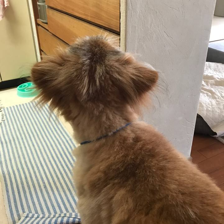 2a53c541 ade6 4ebd aff8 39cf7536361d 1658877480419