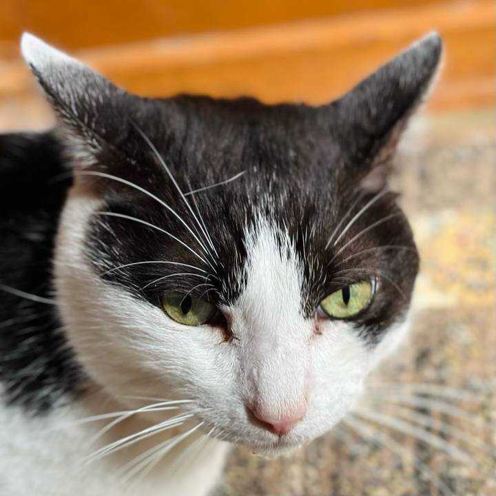 2a541bfd 65ed 4bbf 84b3 272ed1546a1d 1724460647799