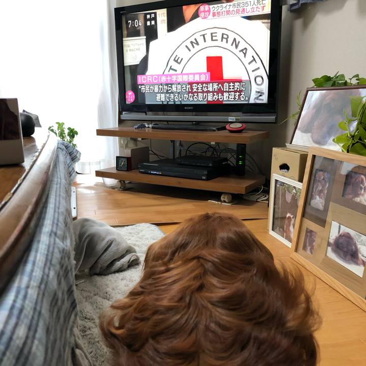 2a545b82 e89e 4b8a bfb5 9075074fcbae 1646518050519