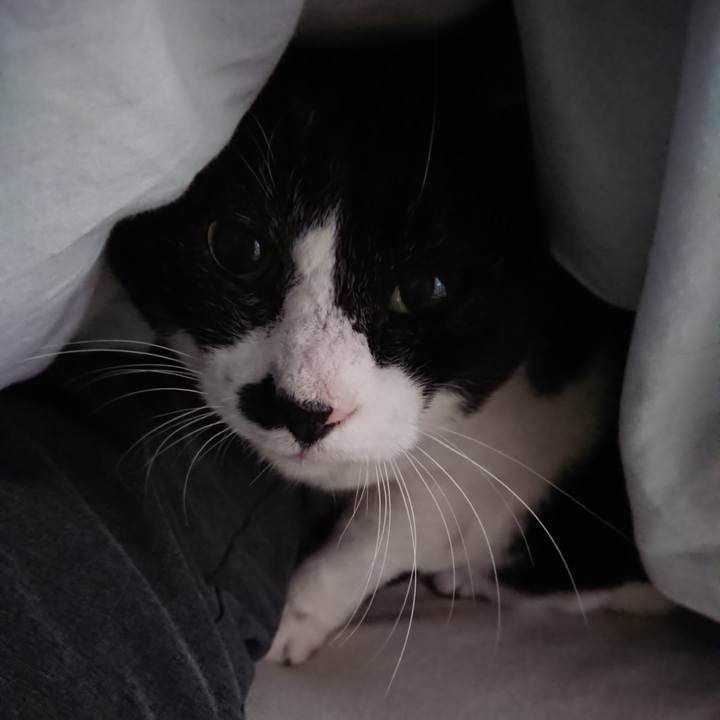 2a546230 826f 4a3c 90c7 0a2130ba4065 1670107373169