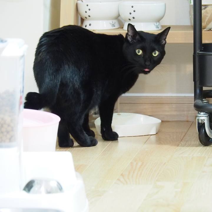 2a546be5 6020 421b 9dc5 4ed7488ac430 1547025198069