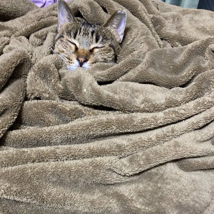 2a54a221 3a46 4d74 8abd 5d2d5b276afe 1636623667069