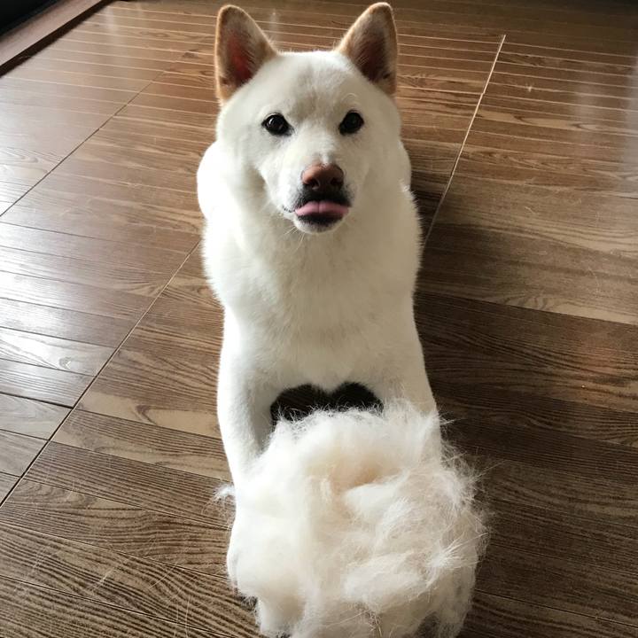 2a54cdb0 ea2f 4d39 ad26 8ceb36929127 1533281551514