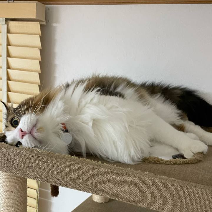 2a54d7fc 2820 4e15 beab 5328ad705d44 1701546699681