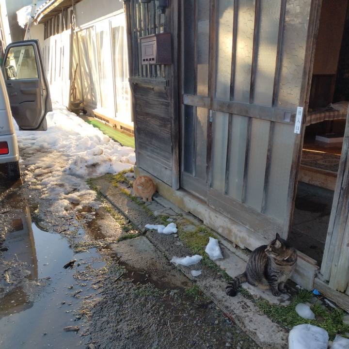 2a551aa6 6b36 4a48 be20 f4fcdd2fd016 1706597805966