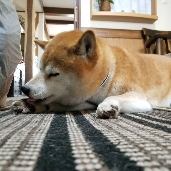 2a554eec 913e 47e8 80b7 6ea63cefd318 1590536794481