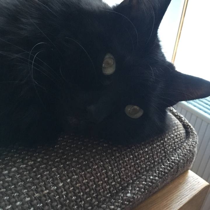 2a555dd6 440d 4050 8ccf 9bfd4ae67728 1519725644274