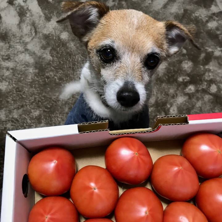 2a558d7a 4aad 49de a6a3 f005ae90cd73 1611385253686