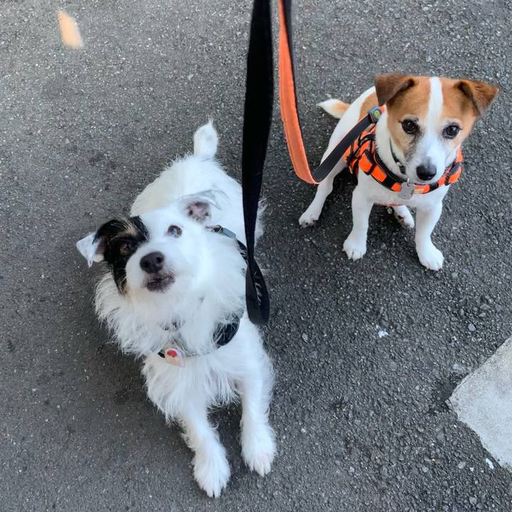 2a5593ee 0f8e 46d5 b6b0 d4043eba5064 1631260829171