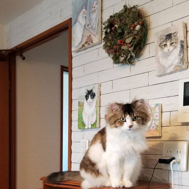 2a55b7c1 f5c9 4629 b8c4 3b5db50341a2 1588892594507