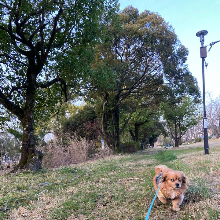 2a55cb46 14fa 4314 ae6a 173f43b979bc 1616104094003