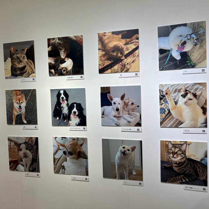 2a55d9cd 3ada 45d5 9c86 674354bdea1a 1762125191760