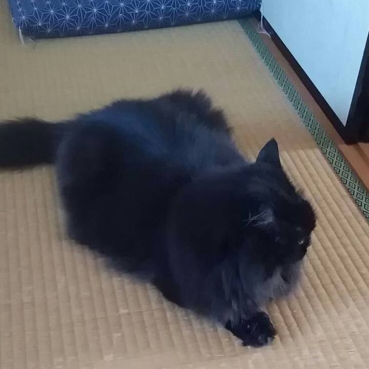 2a55f065 55a4 4d23 9402 6ca979506dbb 1536720164890