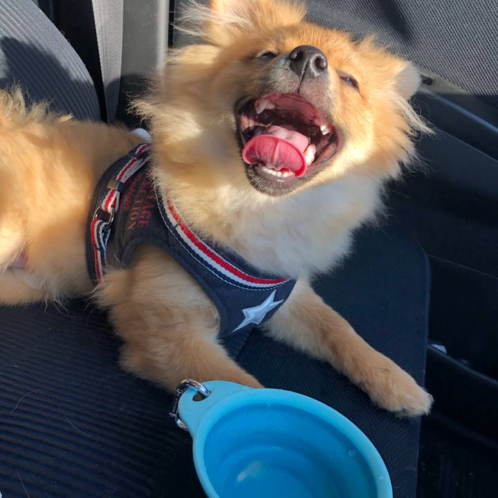 2a561cc5 e928 4126 9bbd 16568f3d17df 1581331473352