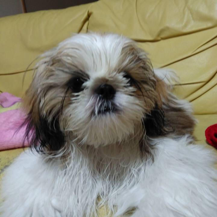 2a561ce4 ce3e 4abb 8d41 de3ba137d731 1542888180165