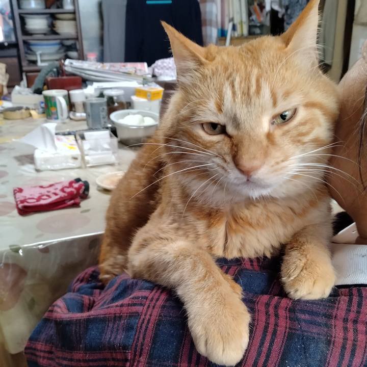 2a561e9d 4b06 4036 8b65 e22953f3ccbc 1715933845501