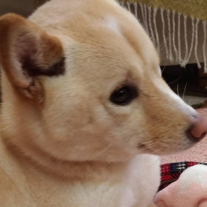 2a56465a e072 402e bb1e 7b5654cce31d 1552089188582