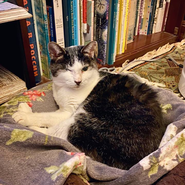 2a564850 7349 4606 83b9 b2def5e12284 1610539639585