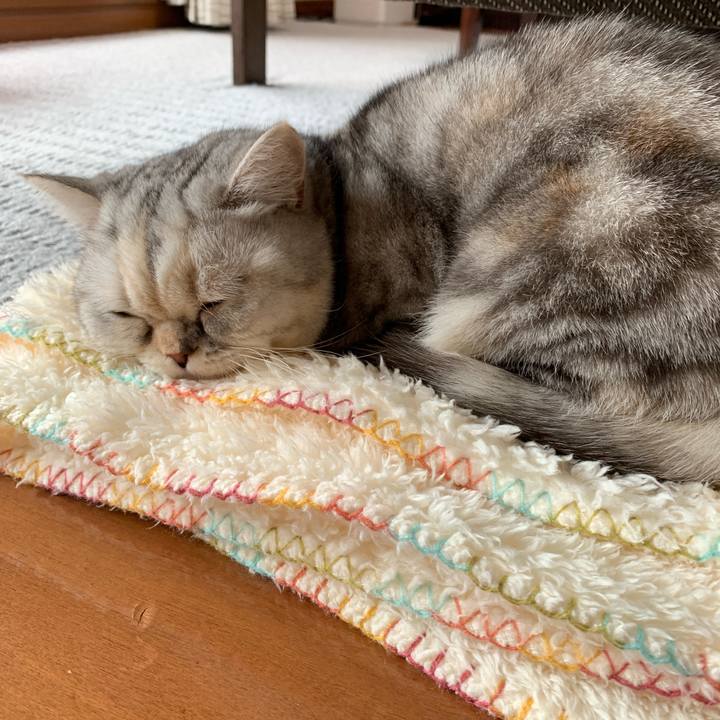 2a564e1a d3c9 493f 8542 fefb53aabf92 1708832172531