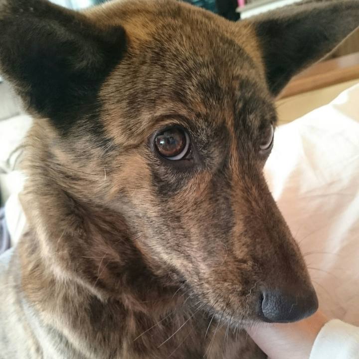 2a5652c4 67b9 48e3 a159 59a023a3cfd3 1510224127919