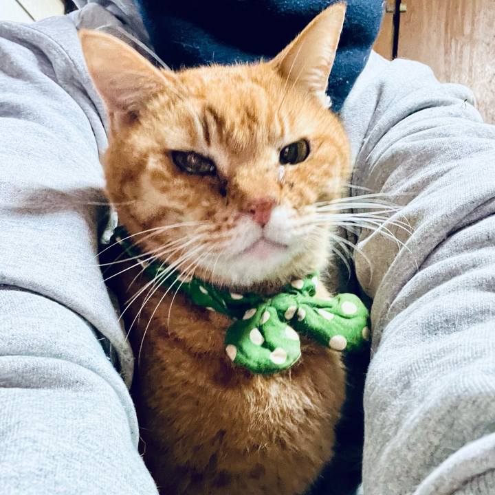 2a567ab1 ab52 49ff ad3d 75ff54c35d51 1768423046264